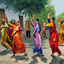 Bhangra in June (qty 1)